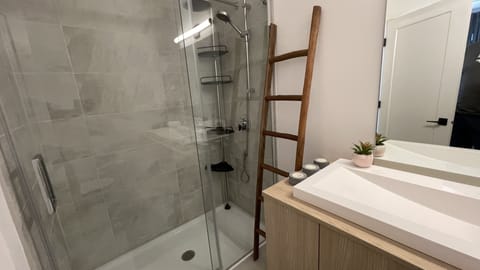 Combined shower/tub, hair dryer, towels, soap