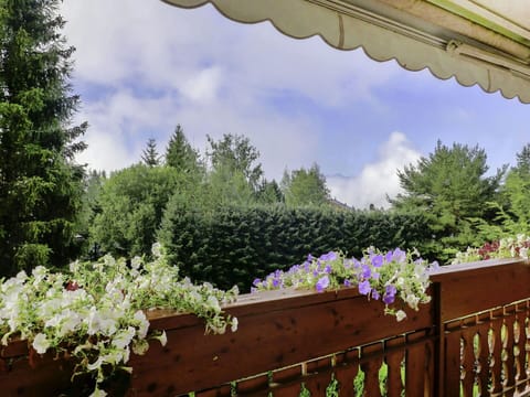 Flower, Cloud, Plant, Sky, Property, Nature, Tree, Botany, Fence, Vegetation