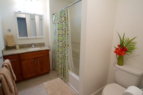 Combined shower/tub, hair dryer, bidet, towels