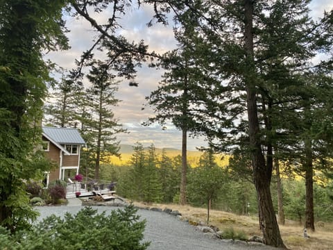 Beautiful light all year long.