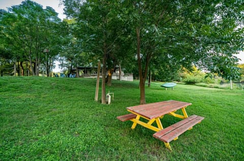 You want to play some freesbees 