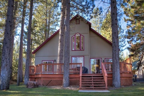Gorgeous setting among the pines