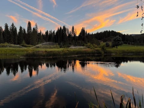 Your peace on the pond awaits