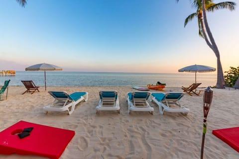 On the beach, sun loungers, beach towels