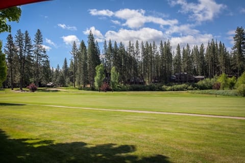 Golf among the pines