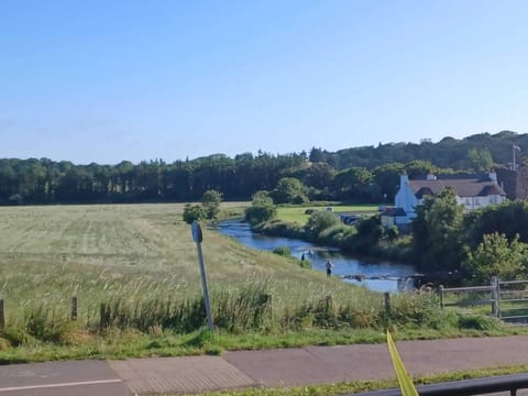 Summers day over the river
