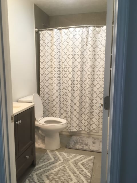 Combined shower/tub, hair dryer, towels, soap