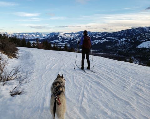 Snow and ski sports