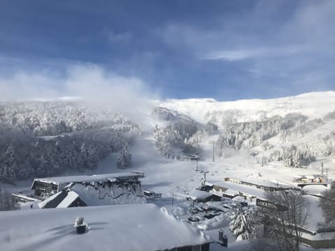 Snow and ski sports