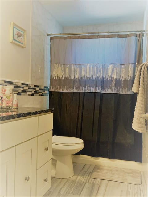 Combined shower/tub, hair dryer, towels, soap