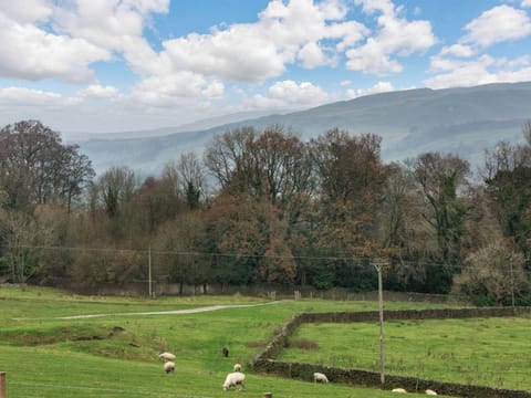 View | The Swaledale Hut - Hollow Hill Huts, Rathmell, near Settle