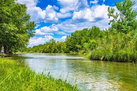 Picture taken from the bank behind the Nest House