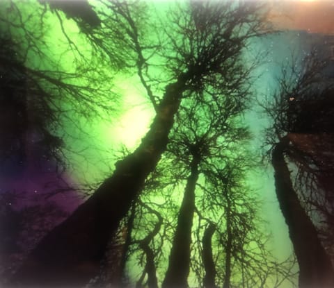 In winter, marvelous views of Northern Lights are enjoyed.