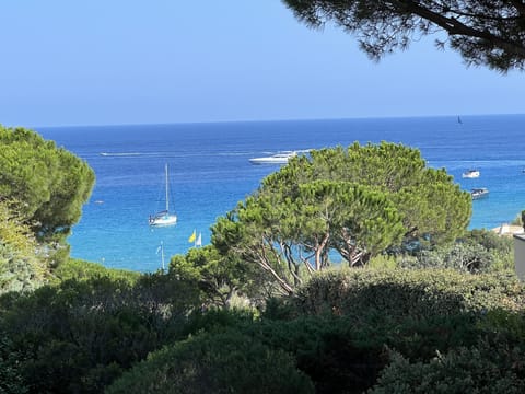 View from the house.