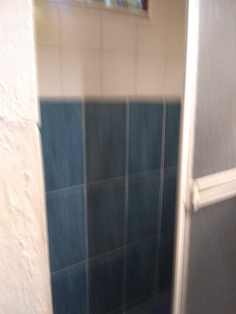 Combined shower/tub, towels