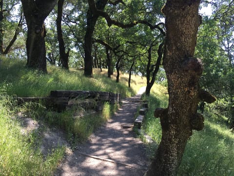 Foothill Regional Park