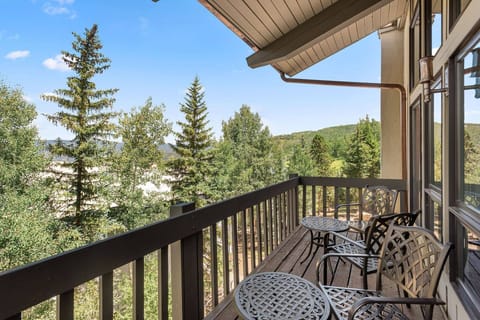 Just steps from the ski slope you will appreciate the convenience, views and peaceful neighborhood of the Interlude Condominiums.