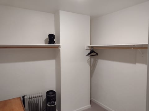 Master Closet (walk in) with small dresser