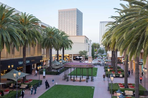 Explore the amazing cities of Costa Mesa and Newport Beach