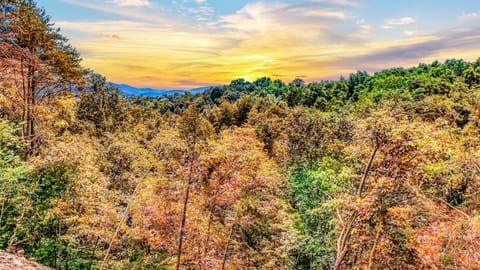 At Mighty Birdsong, you'll enjoy the use of 2 cabins that both offer stunning mountain views.