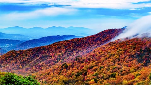 The Smokies are one of the top vacation spots in the US. Why? Well, just look how gorgeous the mountains are!