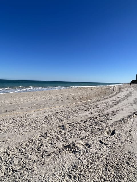 On the beach