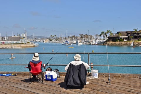 Dana Point Harbor