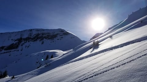 Snow and ski sports