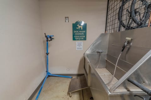 dog wash station in the building