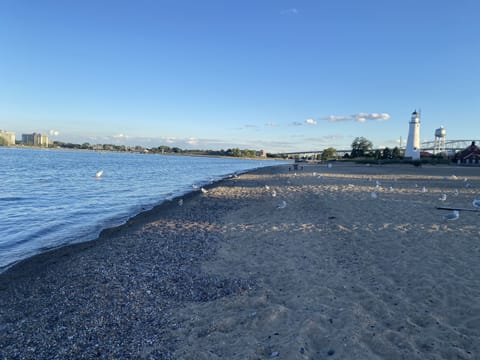 Beach nearby, sun loungers