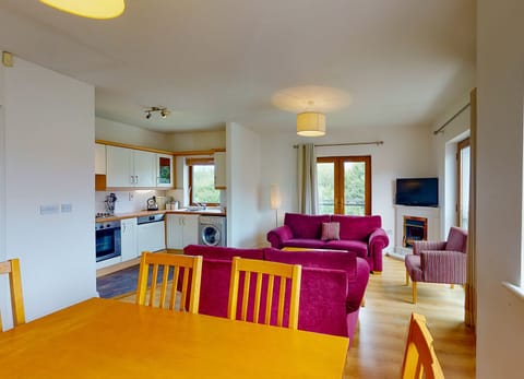 Lakeside Holiday Homes, Large Modern Water Side Holiday Accommodation in Killaloe County Clare