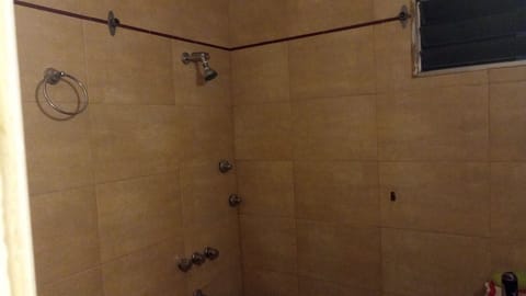 Combined shower/tub, bidet