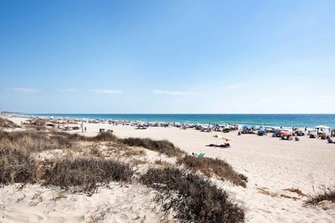 On the beach