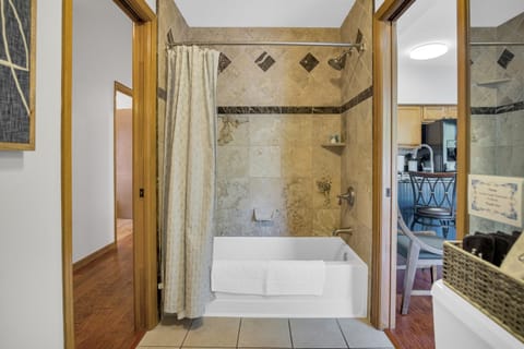 Combined shower/tub, hair dryer, towels