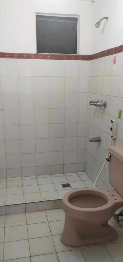 Combined shower/tub, bidet