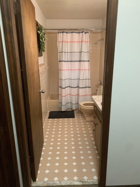 Combined shower/tub, hair dryer, towels, toilet paper