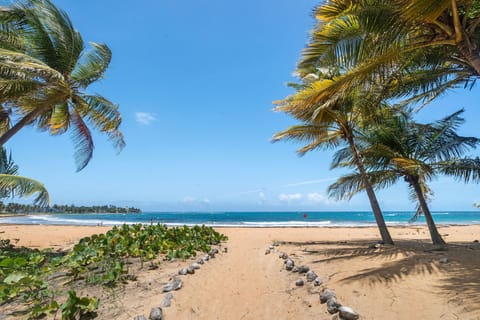 Beach nearby, sun loungers, beach towels