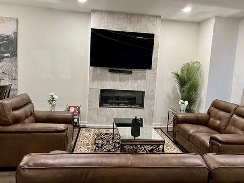 Smart TV, fireplace, computer monitors