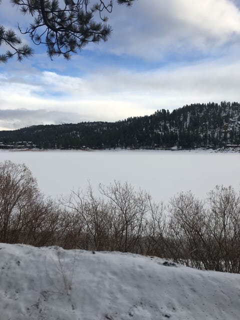 Frozen lake (Winter)