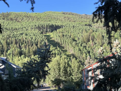 Views of mountains & ski runs from deck, living room windows and kitchen window.