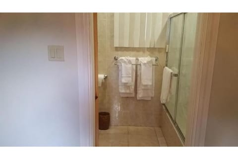 Combined shower/tub, hair dryer