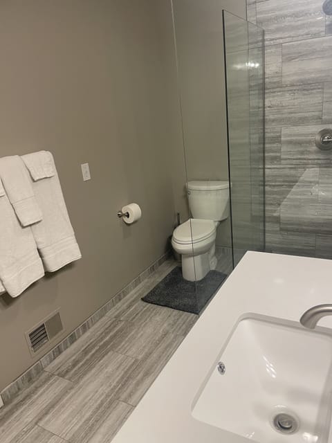 Combined shower/tub