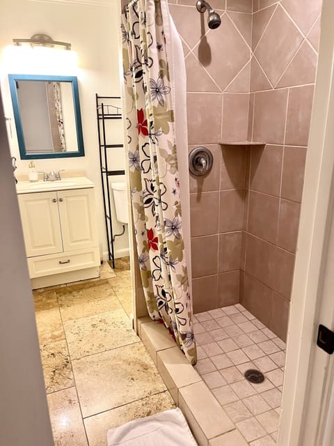 Combined shower/tub, hair dryer, towels, soap