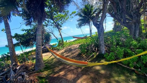 On the beach, sun loungers, beach towels