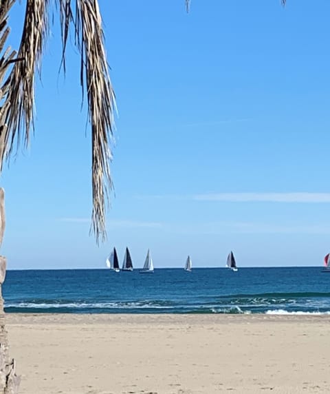 Beach nearby, sun loungers