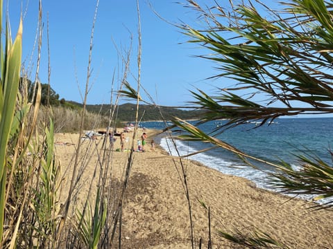 Beach nearby, sun loungers