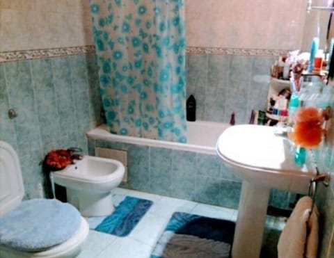 Combined shower/tub, hair dryer, bidet, soap