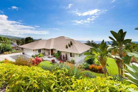 Aloha! Welcome to Paradise.