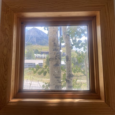View from Garage Window of Mount Crested Butte