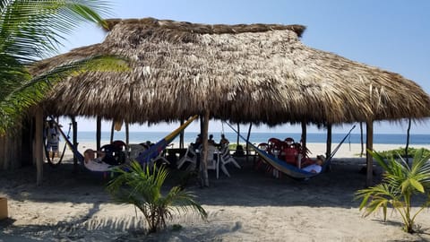 On the beach